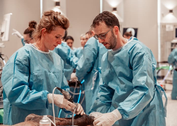 Twee chirurgen aan het werk tijdens de ingreep