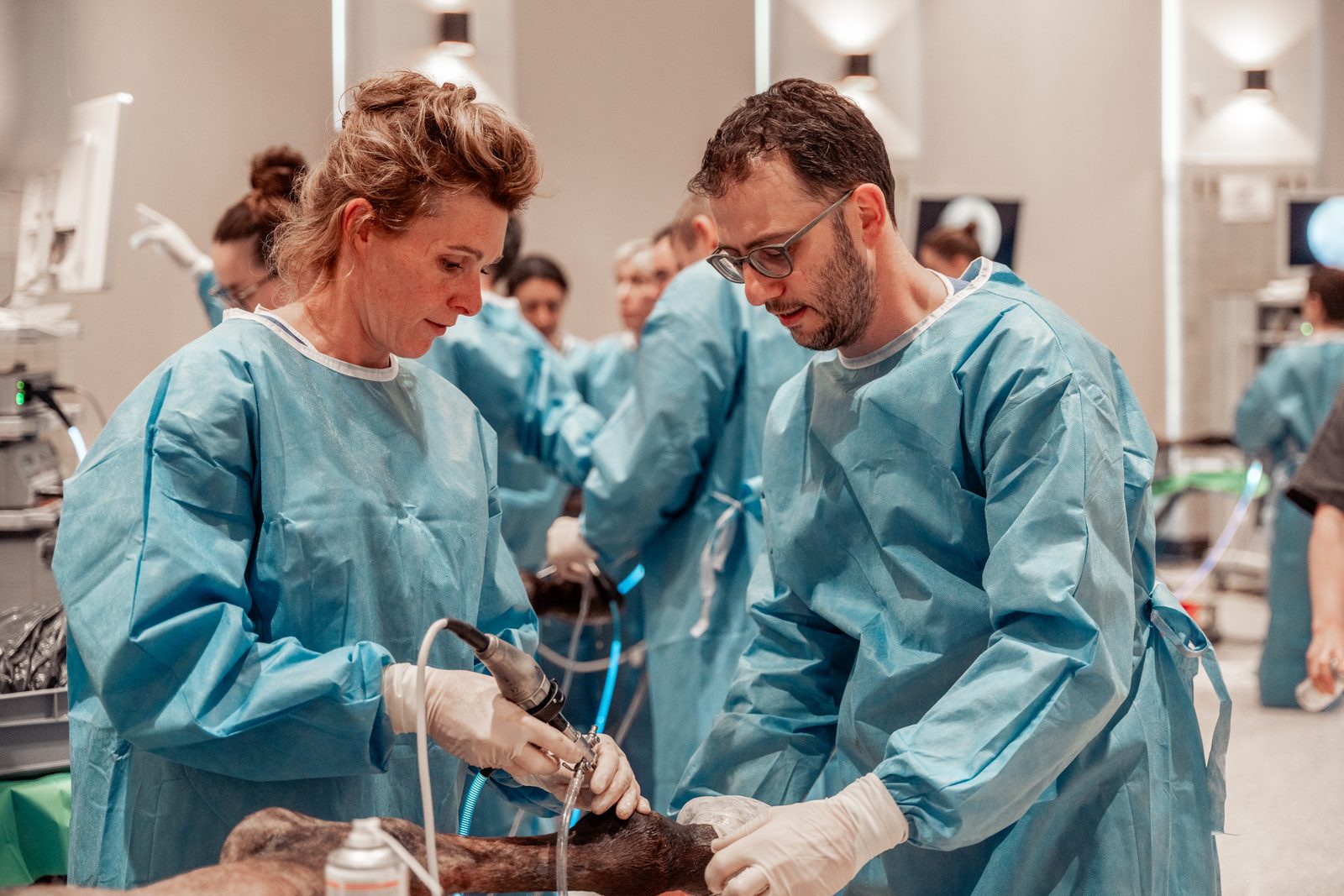Deelnemers aan een chirurgische opleidingsworkshop